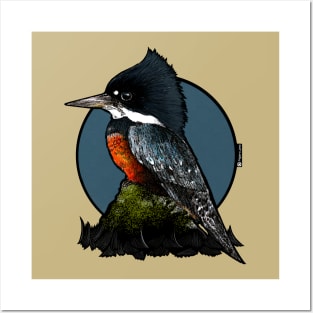 Kingfisher Posters and Art
